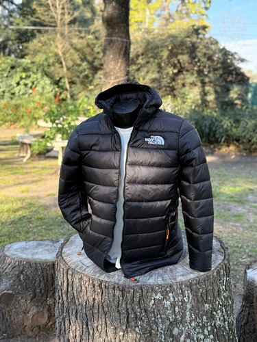 Campera Térmica Liviana Tnf