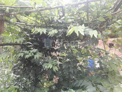 Imagem 2 de 20 de Chácara À Venda No Bairro Brilhante Ii - Itajaí/sc - 2156c