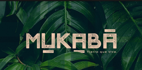 Imagen 11 de 12 de Mukabá Lotes En Venta Con Financiamiento En Hunucmá, Yucatán