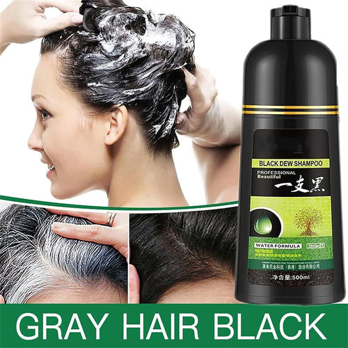 Champú For Teñir El Cabello 3 En 1 De 500 Ml, Negro