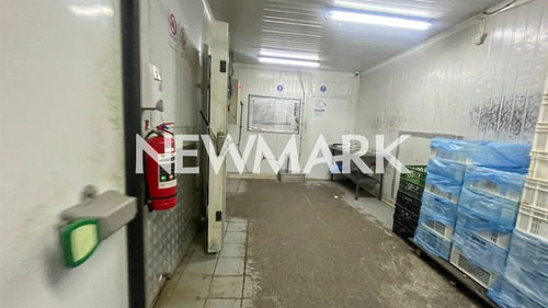 Arriendo Bodega Industrial Producción Alimento Quinta Normal