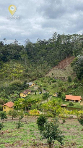 Imagem 12 de 30 de Bela Propriedade Com Boa Rentabilidade Em Santa Teresa - Si0016