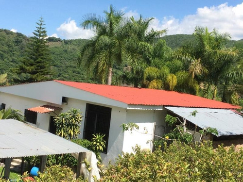 Imagen 2 de 5 de Terreno En Venta El Potrero