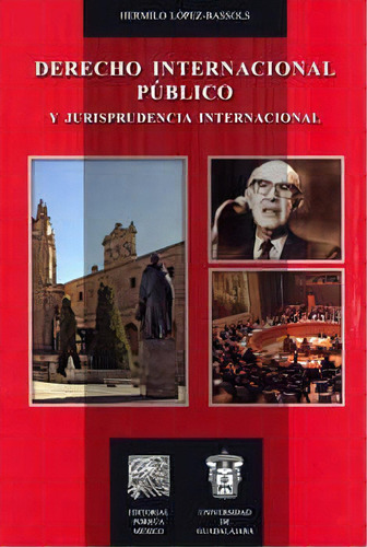 Derecho Internacional Publico Jurisprudencia Internacional, De López Bassols, Hermilo. Editorial Porrúa México En Español