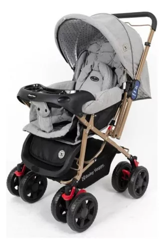 Coche para bebé Modelo DSLand Xplory V8 (Plomo) – Little Bru: Coches y  Cunas para bebés