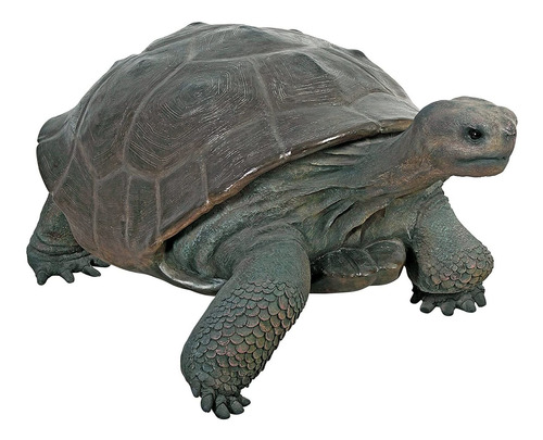 Design Toscano - Estatua De Tortuga Galápagos De Animales Sa