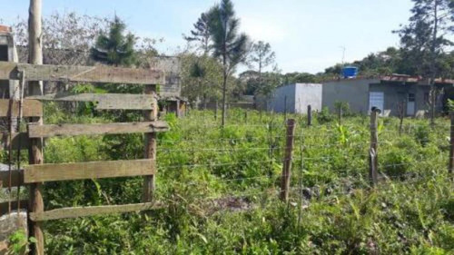Imagem 5 de 11 de Terreno Com Boa Metragem No Palmeiras Em Itanhaém - 4768|npc