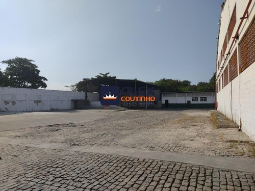 Imagem 9 de 21 de Industrial - Galpão - Rio De Janeiro - 87148