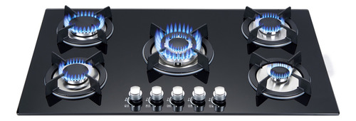 Parrilla A Gas Premiun Nube Plateada 5 Quemadores Color Negro