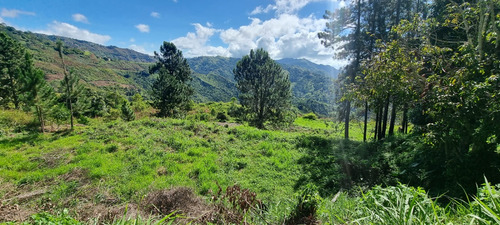 Gran Lote De Terreno En Urbanización Cerrada
