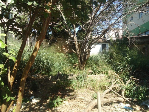 Imagem 1 de 2 de Lote Para Comprar No Padre Eustáquio Em Belo Horizonte/mg - 7924