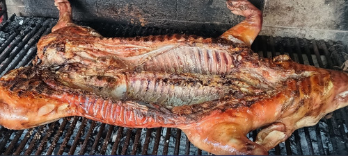 Lechon Chico Stock Permanente