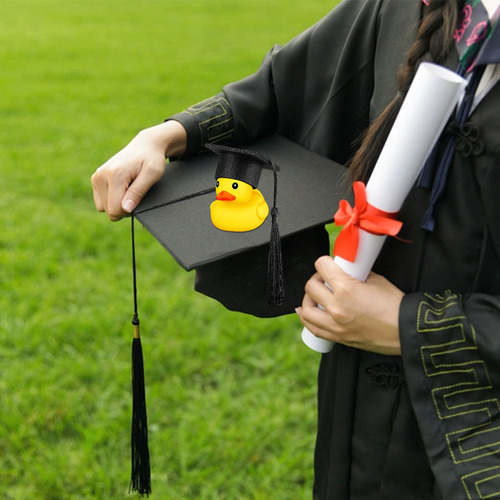 Temporada De Graduación Con Patos, Decoración De Coches De J
