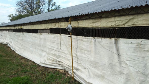 Imagen 8 de 14 de Granja De Pollos En Venta - Villa Mantero