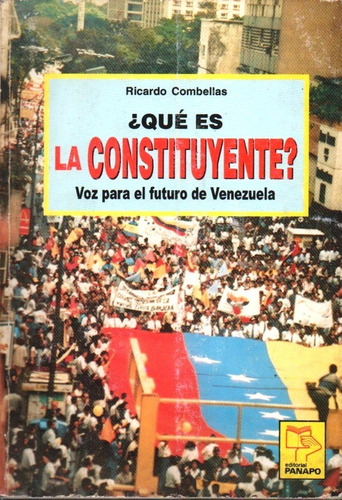 Que Es La Constituyente Voz Para El Futuro De Venezuela 