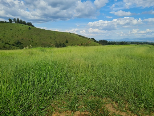Imagem 1 de 8 de Chácara Rural Pindamonhangaba - Sp - Piracuama - Ch-11600