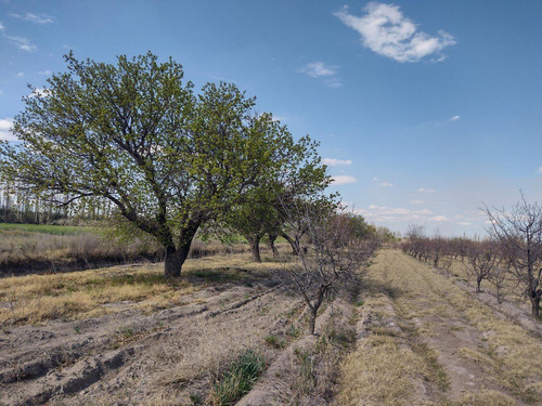 Imagen 5 de 13 de Vendo Finca 5.5 Hectareas A Tranquera Cerrada