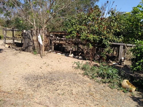 Imagem 14 de 25 de Chácara 13 Mil M2, Casa Sede Com 3 Dormitórios, 1 Suíte, Poço Artesiano, Pomar, Cozinha Americana - Ch00124 - 69942096