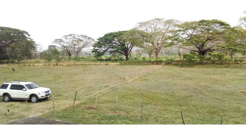 Imagen 10 de 15 de Finca En La Alegría En Yaracal Cerca De Tucacas