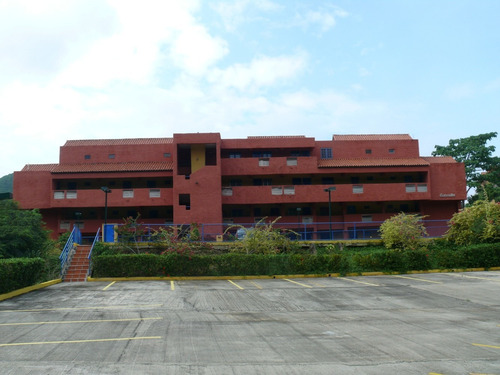 Imagen 1 de 12 de Apartamento En Planta Baja