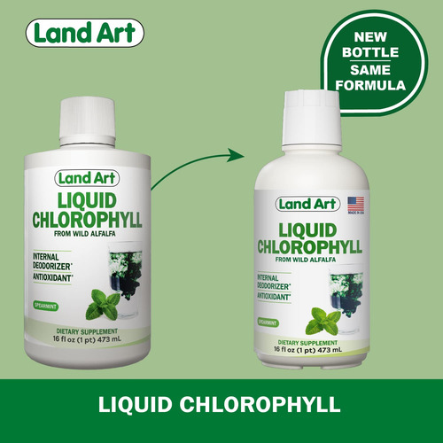 Land Art Clorofila Líquida Sabor Menta 16 Oz Detox