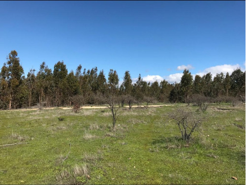 La Aguada 1 Hermosa Parcela Gran Vista, 5000 M2. Rol Propio.