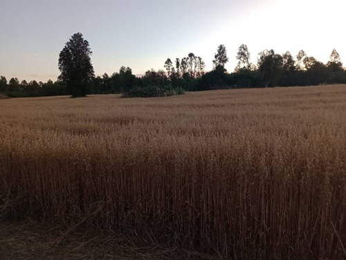 Se Vende Hermoso Campo En La Unión