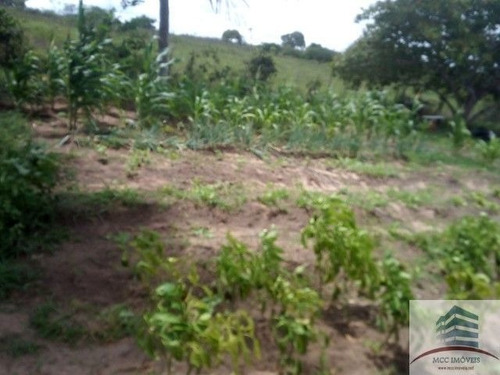 Imagem 4 de 6 de Granja A Venda Em Macaíba