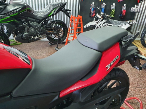 Imagen 6 de 18 de Bajaj Dominar 250 0km - Financiacion - Permutas