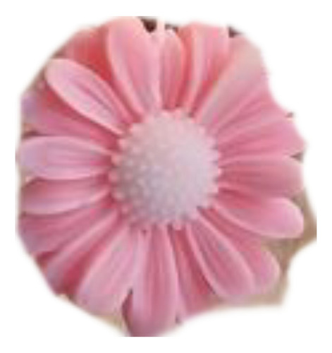 Recuerdo Jabón Flor Margarita Personalizado
