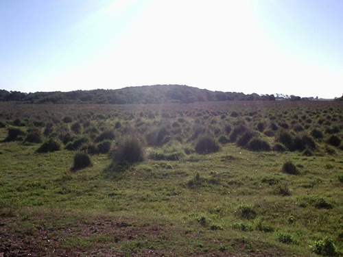 Campo Con Costa Oceánica Ref. 1562 (ref: Cbr-1190)