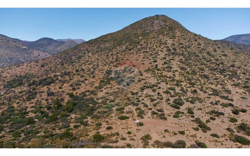 Para Inversionistas 78 Hectáreas En Valle De Caleu