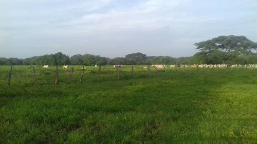 Imagen 11 de 14 de Grandiosa Finca En Via Al Baul 1200 Hectareas