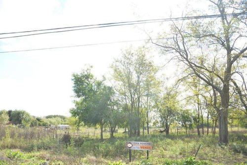 Imagen 8 de 10 de Chacra , En Madariaga !