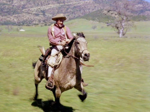 Sériados Clássico James West E Gunsmoke Coleção Dublada (Usado)