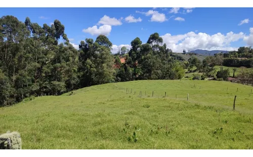 Finca Vía Rionegro La Ceja (quirama)