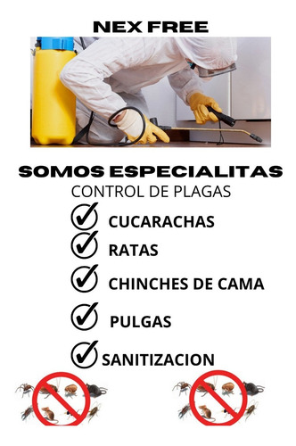 Imagen 2 de 3 de Fumigación Y Control De Plagas