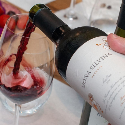Imagen 4 de 10 de Vino Doña Silvina Reserva Malbec Cosecha 2017 Premiada
