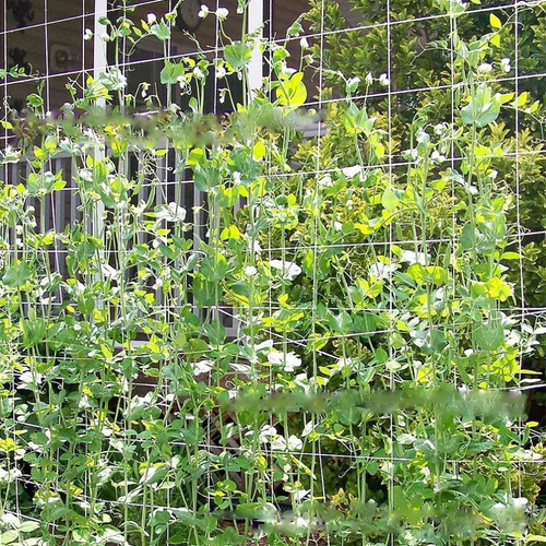 Rede De Treliça De Jardim De 3 Peças Para Tomate /