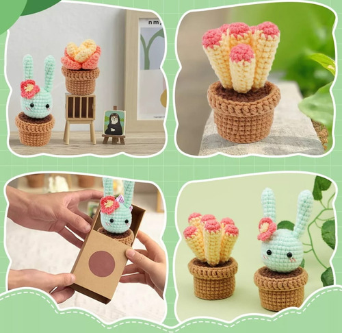 Kit De Inicio De Crochet Material Tejido De Suculenta 6pcs