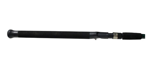 Caña Tech Arcadia 1,98 Mts 2 Tramos 10-25 Lbs Baitcasting
