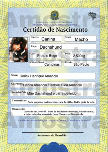 Imagem 3 de 5 de Certidão De Nascimento Pet E Rg Pet