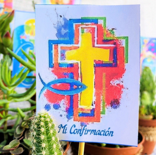 Recuerdos Cactus Y Sucus, Toda Ocasión, Valor Cada Unidad
