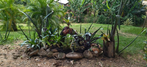 Finca En Venta Ubicada En Canoabo Edo Carabobo