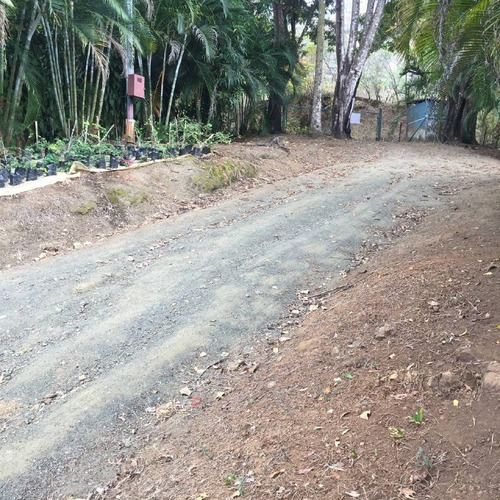 Imagen 6 de 30 de Parcela Con Bienhechurías En San Juan De Los Morros, Guárico
