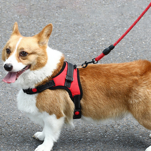 Arnés Para Mascotas, Reflectante, A Prueba De Explosiones, P