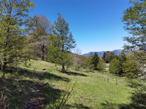 Terreno 5.000 M2 En Condominio La Helvetia, Malalcahuello