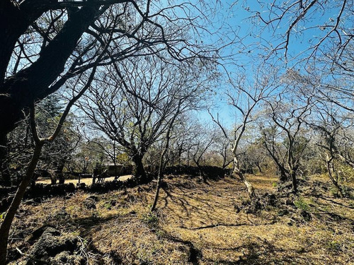 Venta Terreno Comunal Tepoztlan Morelos