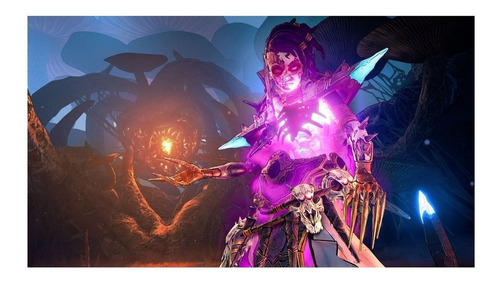 Tiny Tina's Wonderlands Next-Level Edition PS5 Físico