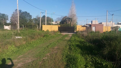 Terreno En Venta En 409/ 139 Y 141 Buona Terra Villa Elisa - Alberto Dacal Propiedades